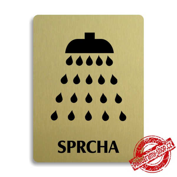Piktogram Sprcha, 100x133mm