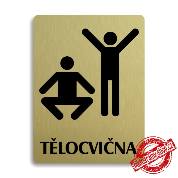 Piktogram Tělocvična, 100x133mm