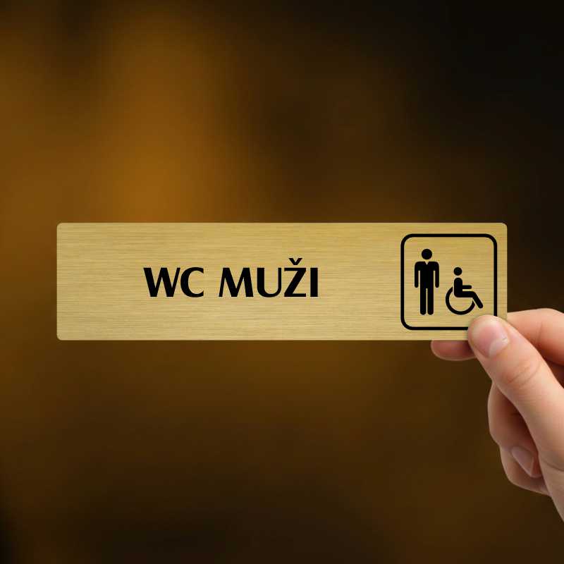 WC muži invalida, Florida, stříbrná