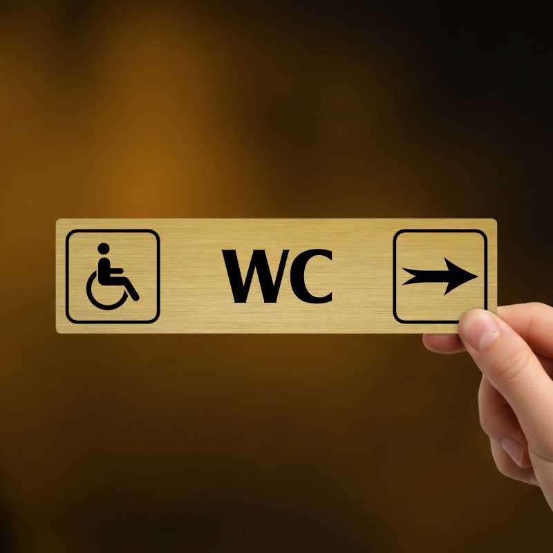 WC invalida vpravo, Florida, stříbrná
