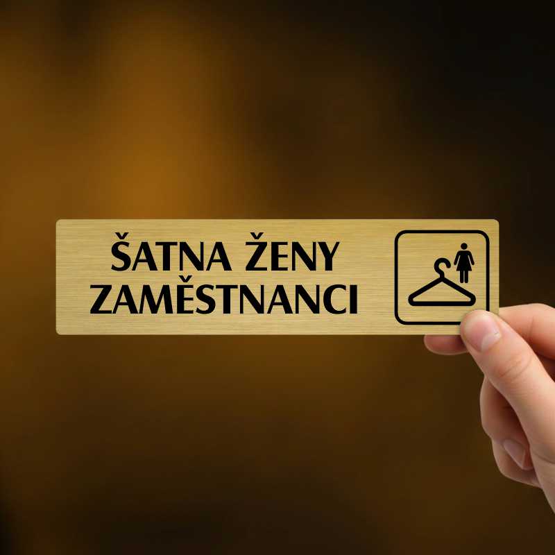 Šatna ženy zaměstnanci, Florida, stříbrná